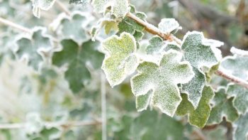 Meteo, 12 ianuarie. Vreme rece în Capitală și nu numai