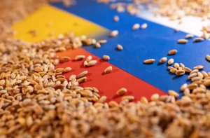 Macro shot of sesame seeds scattered across a blue, yellow, and red flag-like surface, close-up detail.