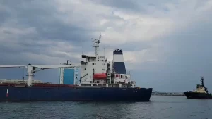 Minciuni guvernamentale? România a respins doar de ochii lumii sprijinul suplimentar pentru cerealele din Ucraina. Kiev-ul se laudă cu exact contrariul