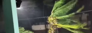 VIDEO. Ciclonul Arnab lovește India. Aproape 100.000 de oameni, evacuați înainte de furtuna puternică