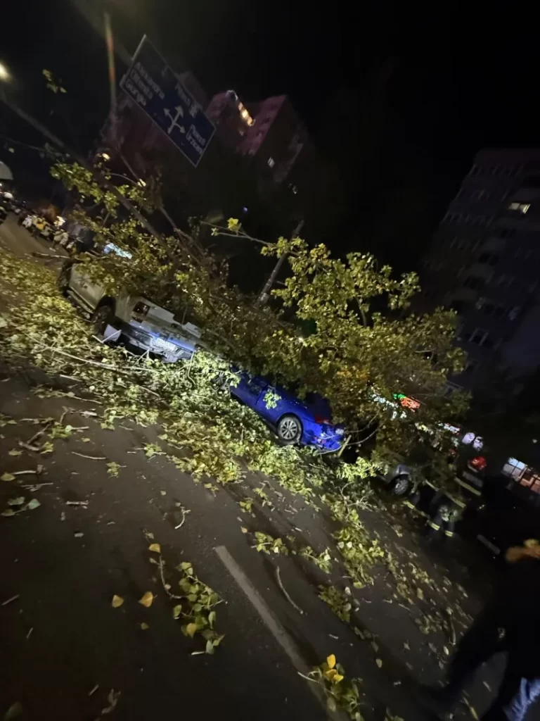 VIDEO. Momentul în care un copac cade, din senin, peste mai multe mașini și un bărbat pe scuter, în București