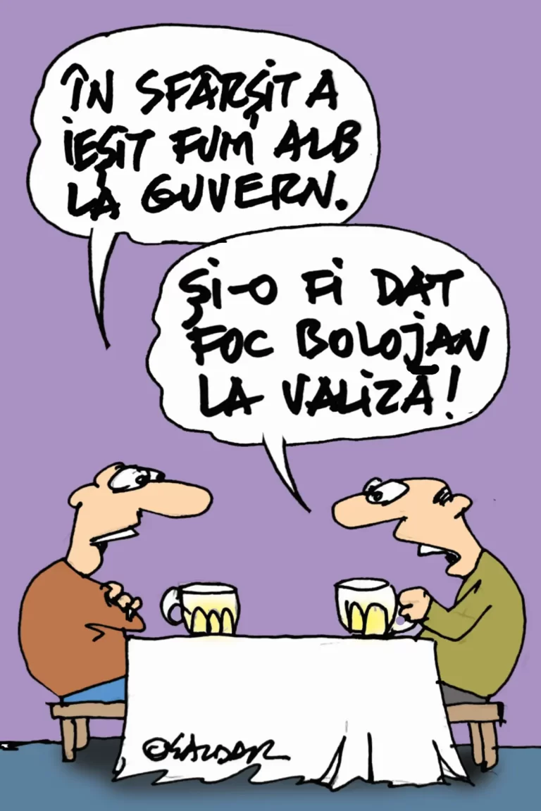 Guvernul a trecut