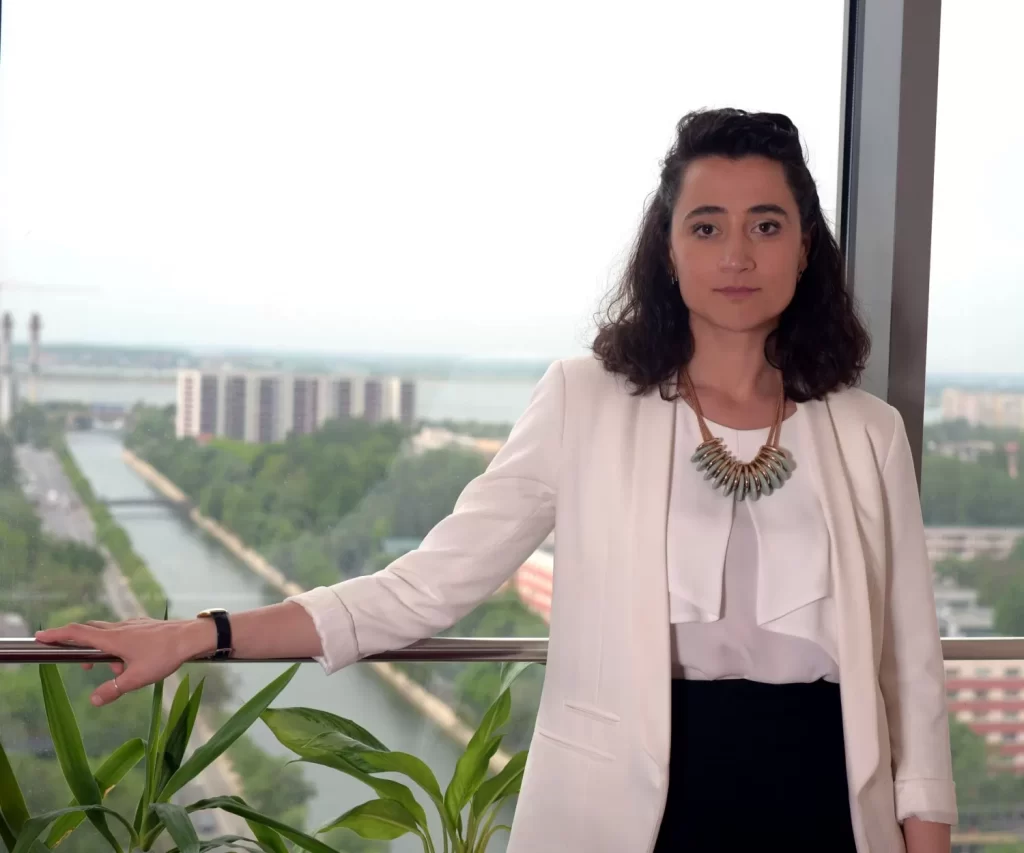 Cine este Ioana Ciocan, propusă la Ministerul Culturii, și ce legătură are cu tunul de 12 milioane de euro de la Sectorul 1